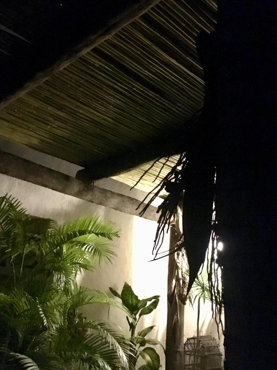 מלון לה פז El Angel Azul Hacienda מראה חיצוני תמונה